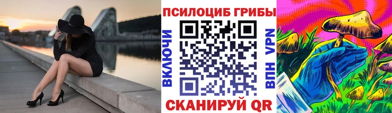 Псилоцибиновые грибы ЛСД  купить закладку  Кизляр 