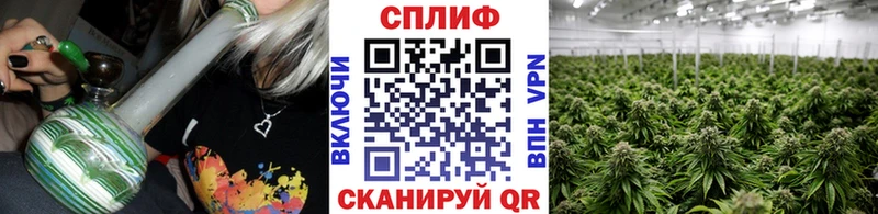 Каннабис Amnesia Кизляр